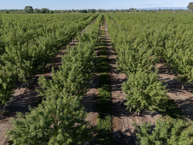 11270 Craig Rd, Live Oak, CA 95953