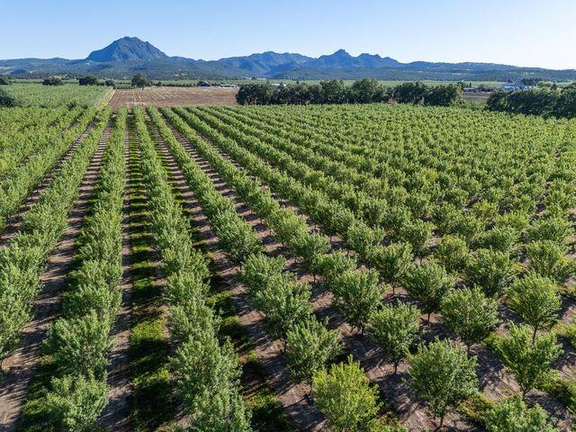 11270 Craig Rd, Live Oak, CA 95953