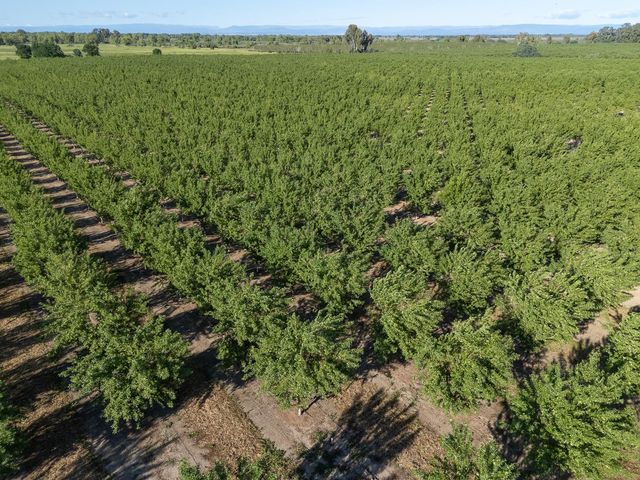 11270 Craig Rd, Live Oak, CA 95953