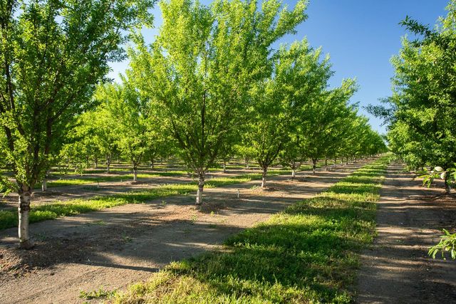 11270 Craig Rd, Live Oak, CA 95953