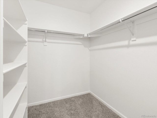 4694 Sugarcane St, Johnstown, CO 80534