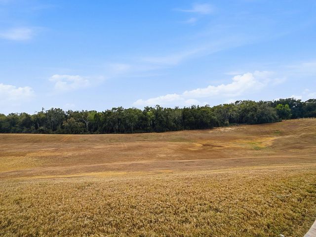 38701 OAK PLACE COURT, Lady Lake, FL 32159