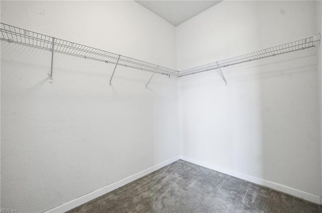 3146 Greenwood DR, Portsmouth, VA 23701