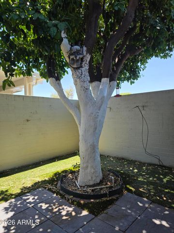 17438 N BOSWELL Boulevard, Sun City, AZ 85373