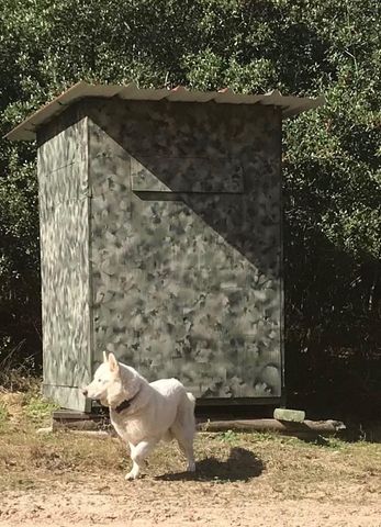 1803 Doe Run Drive, Waelder, TX 78959