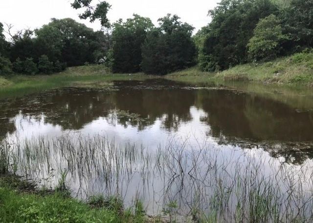 1803 Doe Run Drive, Waelder, TX 78959