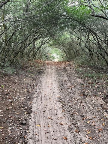 1803 Doe Run Drive, Waelder, TX 78959