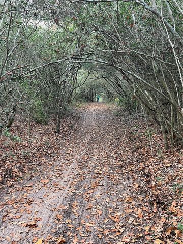 1803 Doe Run Drive, Waelder, TX 78959