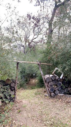 1803 Doe Run Drive, Waelder, TX 78959