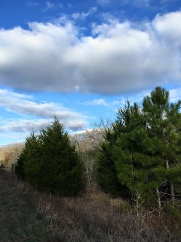 1803 Doe Run Drive, Waelder, TX 78959