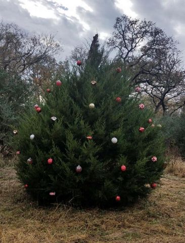 1803 Doe Run Drive, Waelder, TX 78959