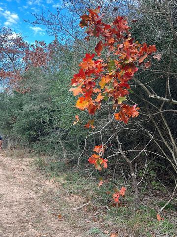 1803 Doe Run Drive, Waelder, TX 78959