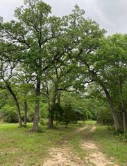 1803 Doe Run Drive, Waelder, TX 78959