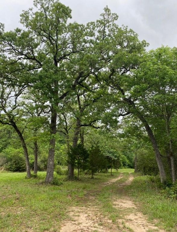 1803 Doe Run Drive, Waelder, TX 78959