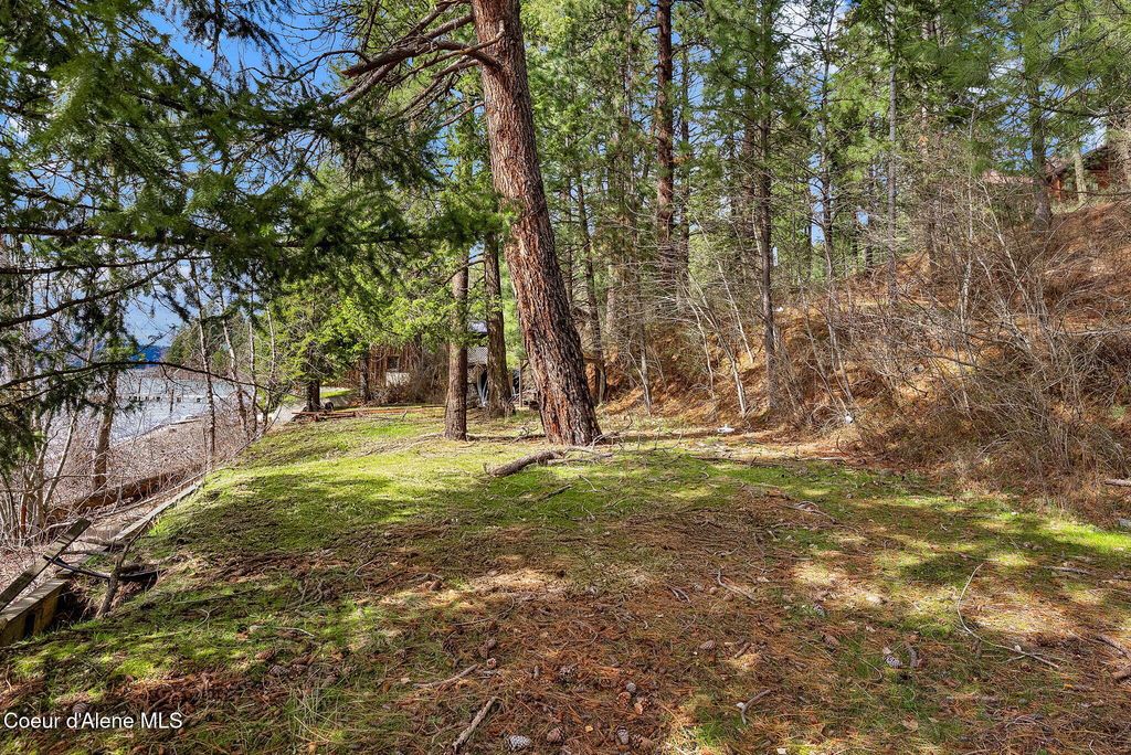 L2 & L3 S Highway 97, Harrison, ID 83833 photo 10