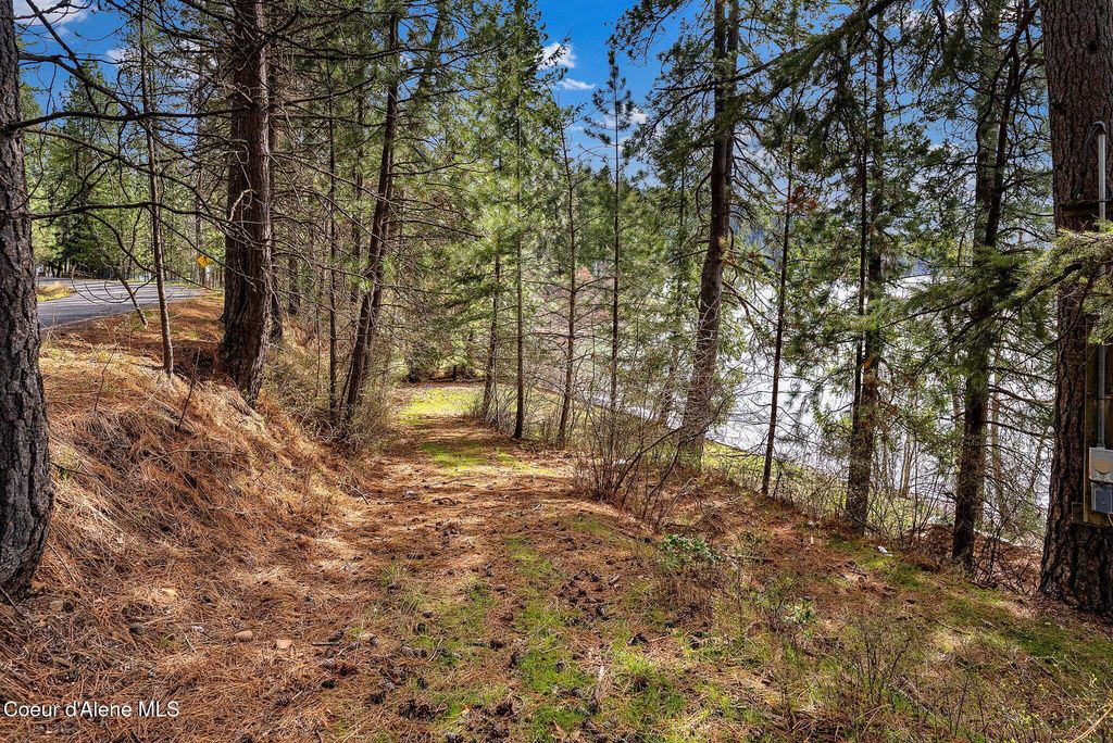 L2 & L3 S Highway 97, Harrison, ID 83833 photo 6