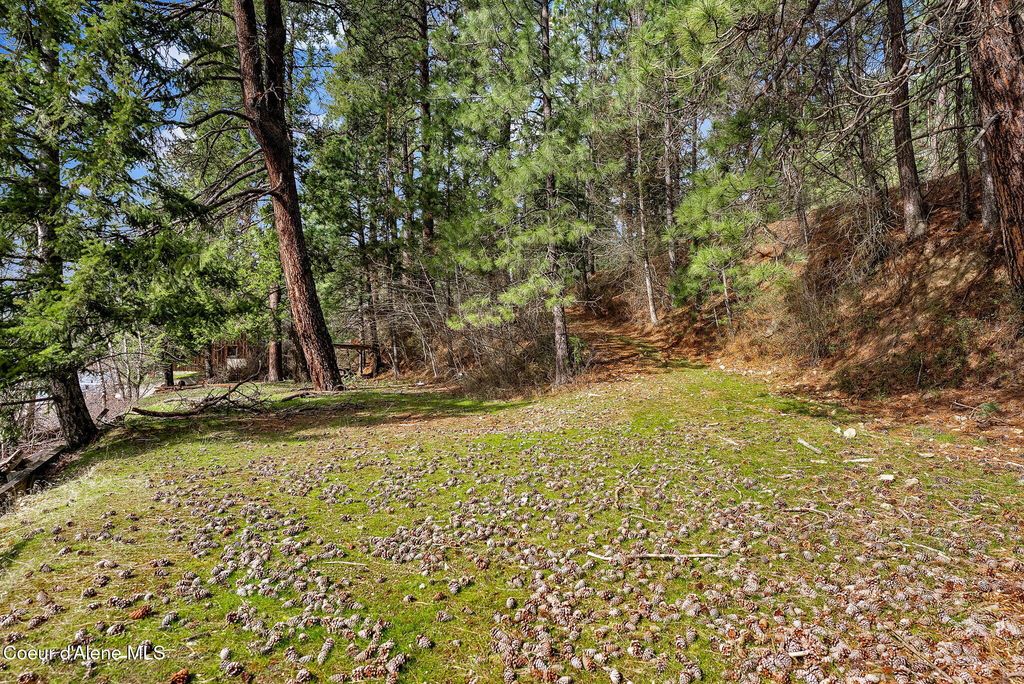 L2 & L3 S Highway 97, Harrison, ID 83833 photo 8