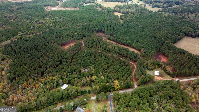 1279 Lanier Road, White Plains, GA 30678