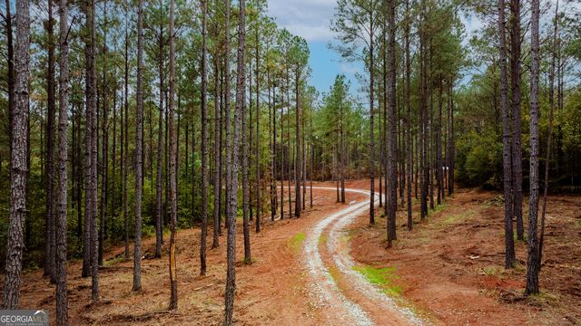 1279 Lanier Road, White Plains, GA 30678