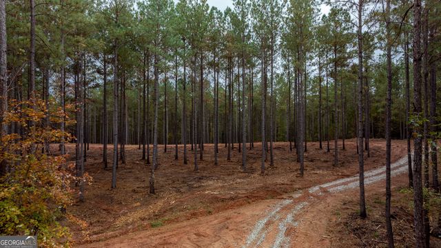 1279 Lanier Road, White Plains, GA 30678