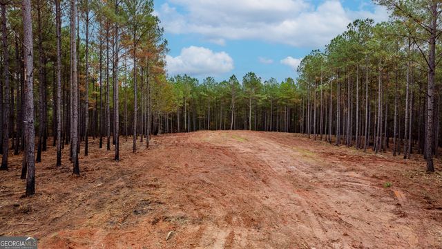 1279 Lanier Road, White Plains, GA 30678