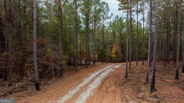 1279 Lanier Road, White Plains, GA 30678