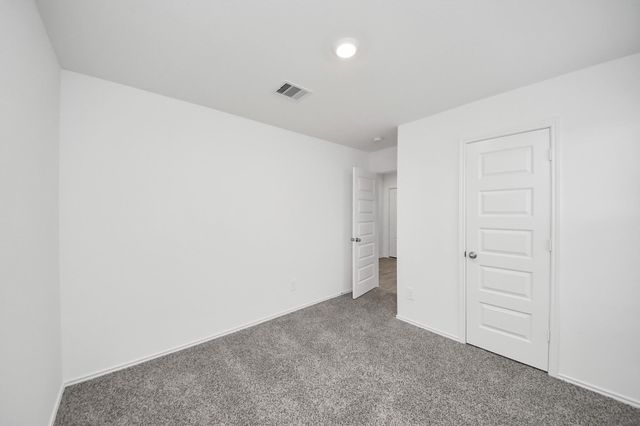 1310 Bison View Lane, Sealy, TX 77474