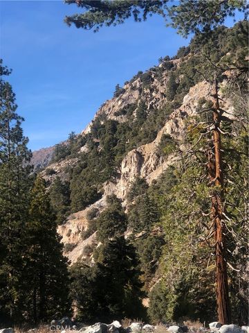 9112 Torrey Pines Road, Forest Falls, CA 92339