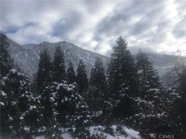 9112 Torrey Pines Road, Forest Falls, CA 92339