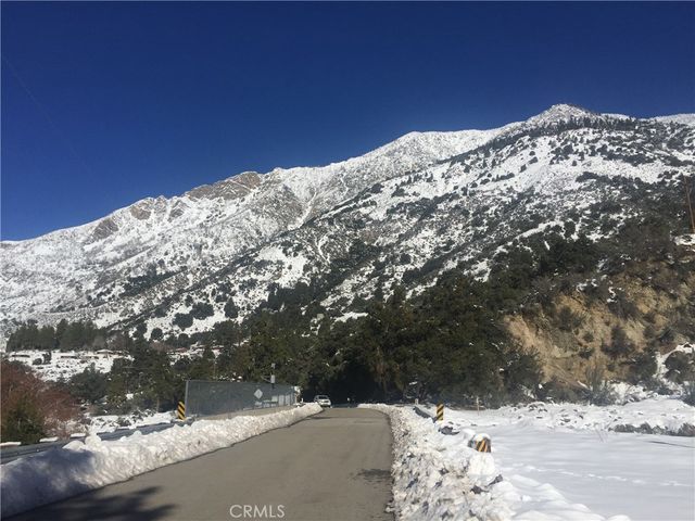 9112 Torrey Pines Road, Forest Falls, CA 92339