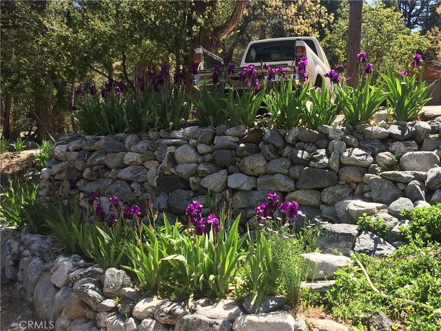 9112 Torrey Pines Road, Forest Falls, CA 92339