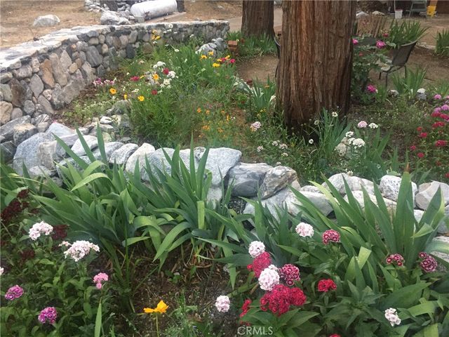 9112 Torrey Pines Road, Forest Falls, CA 92339