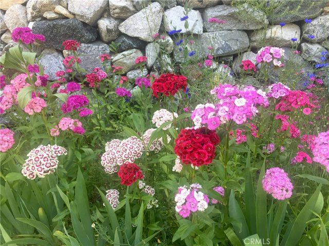 9112 Torrey Pines Road, Forest Falls, CA 92339