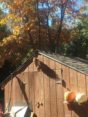 9112 Torrey Pines Road, Forest Falls, CA 92339