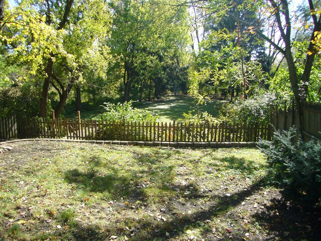 1953 Curtiss Street, Downers Grove, IL 60515