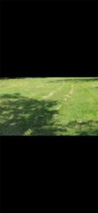 4132 Georgia Avenue, Dickinson, TX 77539