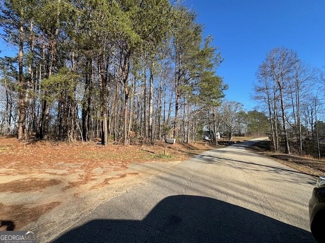 300 Dug Down Road, Buchanan, GA 30113