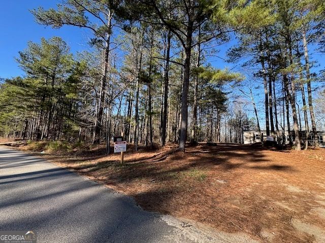 300 Dug Down Road, Buchanan, GA 30113