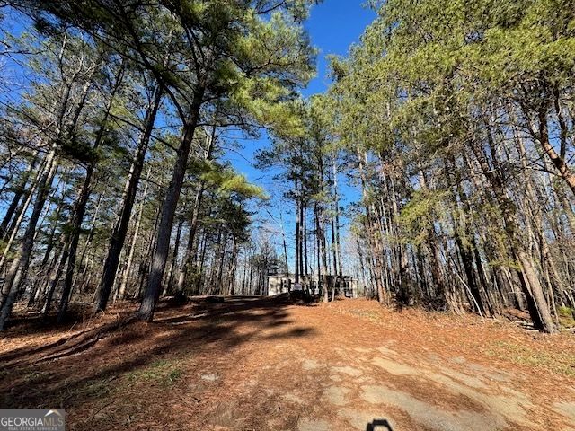 300 Dug Down Road, Buchanan, GA 30113