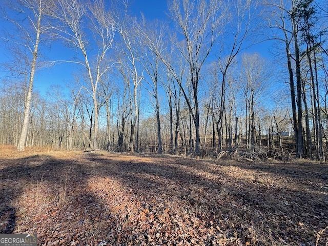 300 Dug Down Road, Buchanan, GA 30113