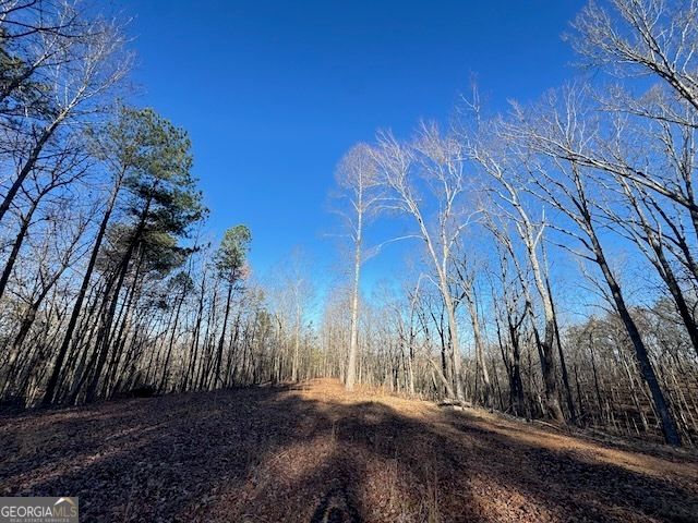 300 Dug Down Road, Buchanan, GA 30113