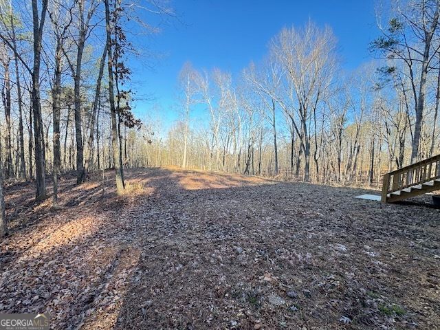 300 Dug Down Road, Buchanan, GA 30113