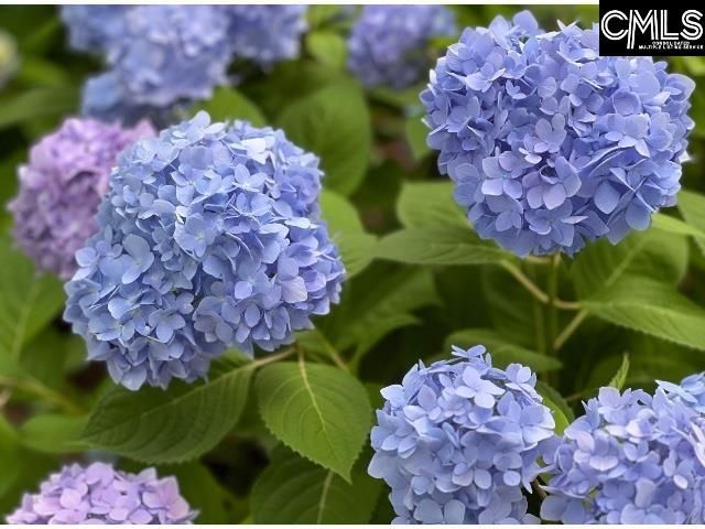 48 Veranda Lane, Blythewood, SC 29016