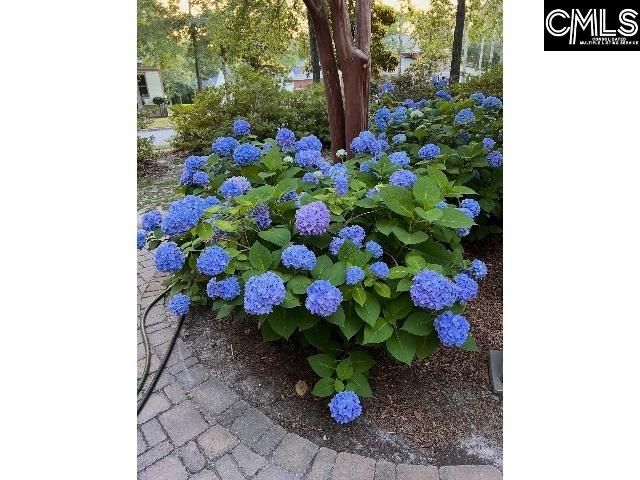 48 Veranda Lane, Blythewood, SC 29016