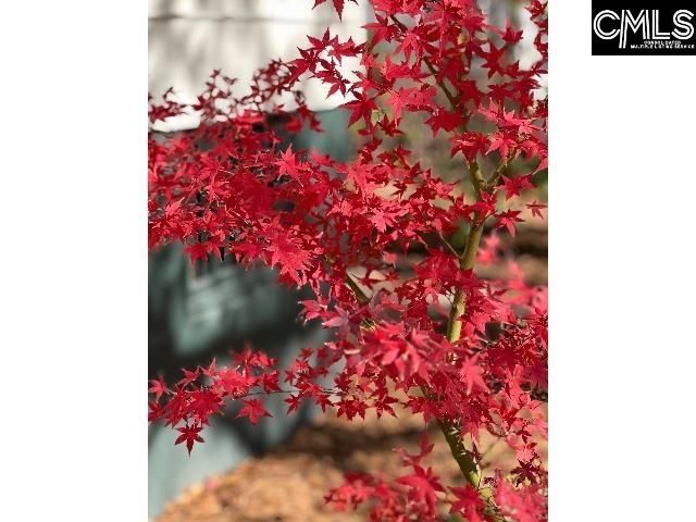 48 Veranda Lane, Blythewood, SC 29016