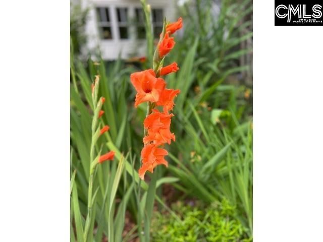 48 Veranda Lane, Blythewood, SC 29016