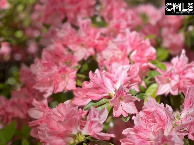 48 Veranda Lane, Blythewood, SC 29016