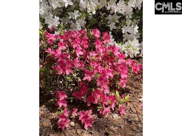 48 Veranda Lane, Blythewood, SC 29016