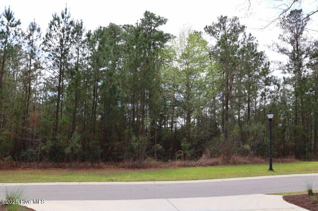 9319 Fallen Pear Lane NE, Leland, NC 28451