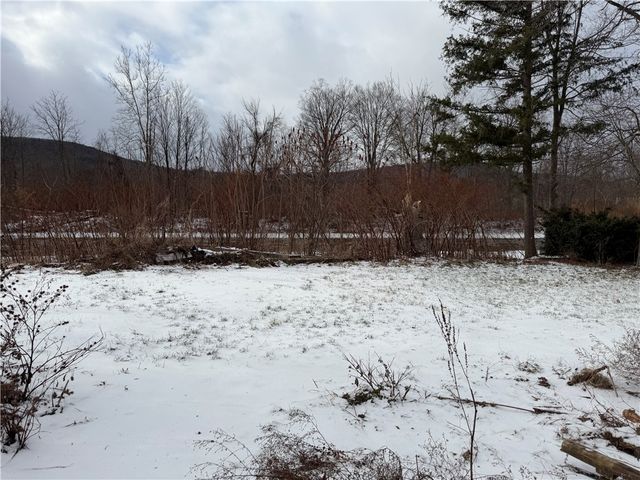 9100 State Route 415, Campbell, NY 14821